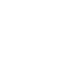 nanoleaps